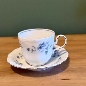 Johann Haviland Bavaria Cup & Saucer – Silver Trim Floral